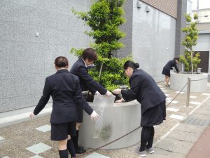 DSCN0523